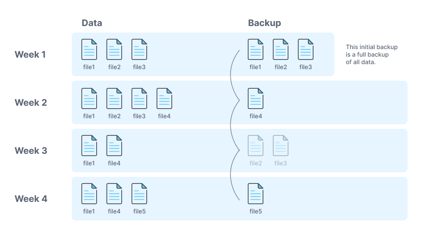 Scheme of a differential Backup